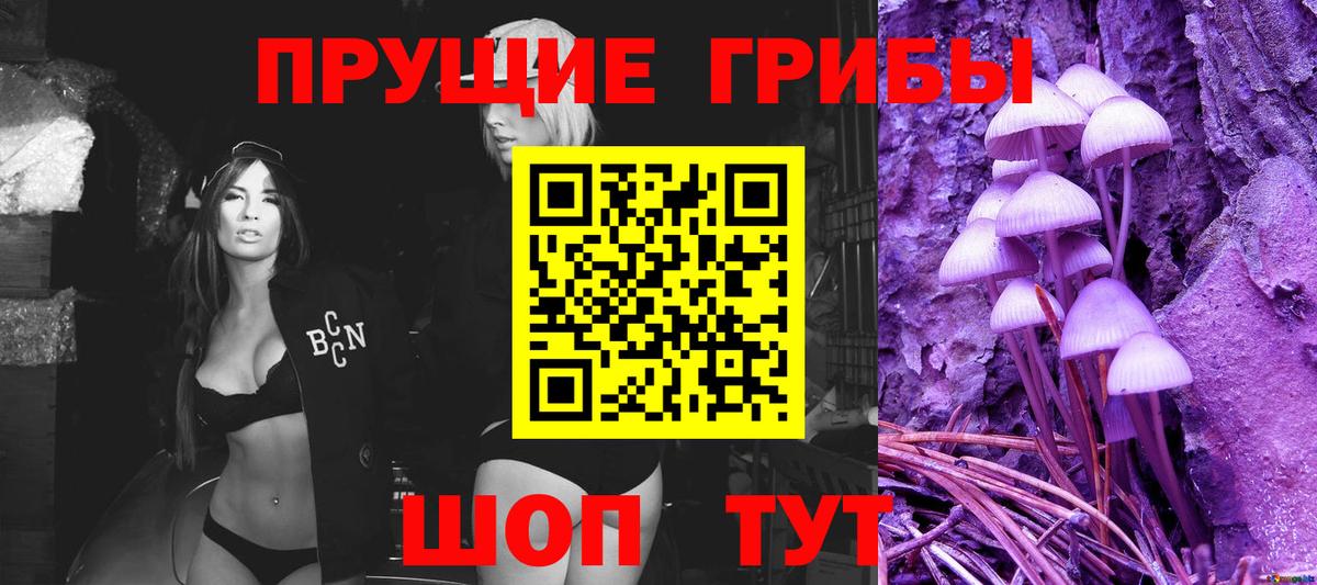 Галлюциногенные грибы Psilocybe  где купить наркоту  Гусев  Вход с VPN 